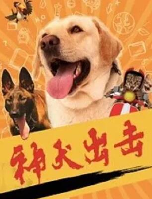 电影：神犬出击