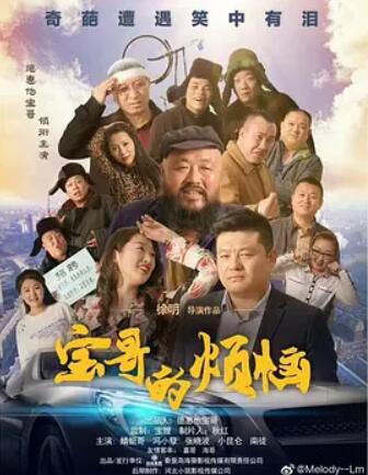 电影:宝哥的烦恼