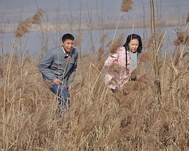 电影:天鹅城之恋