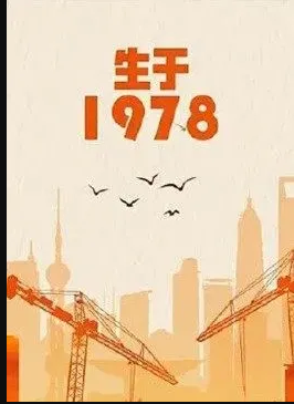 电影：生于1978