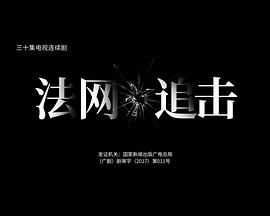 电影：法网追击