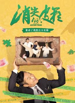 电影：消失的皮箱