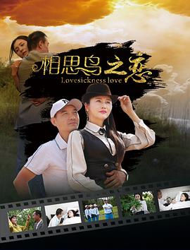 电影:相思鸟之恋