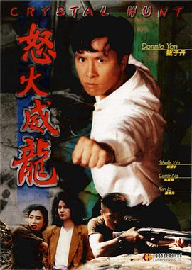 电影:怒火威龙