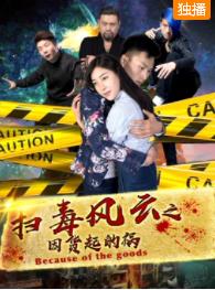 电影:扫毒风云之因货起的祸