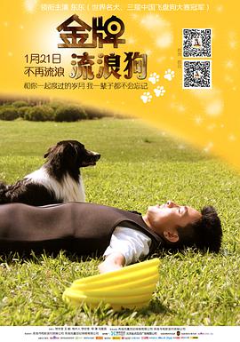 电影:金牌流浪狗