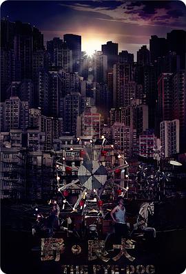 电影：野·良犬