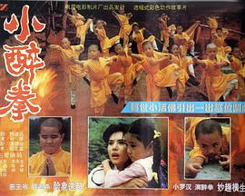 电影:小醉拳