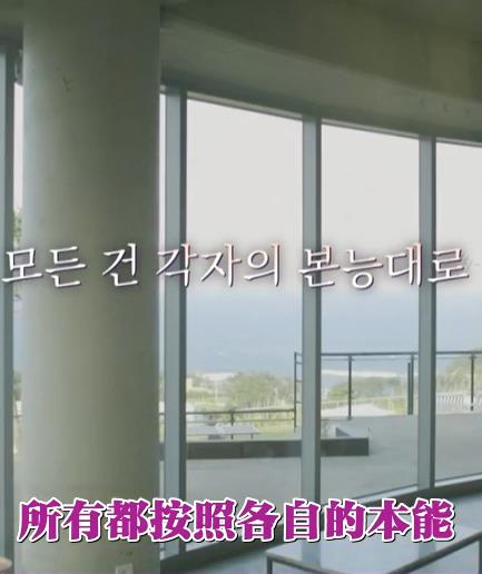 电影:按照各自的本能