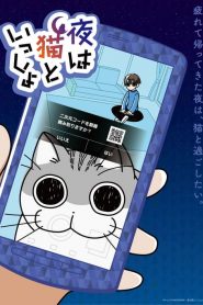 电影:今晚有猫伴身边