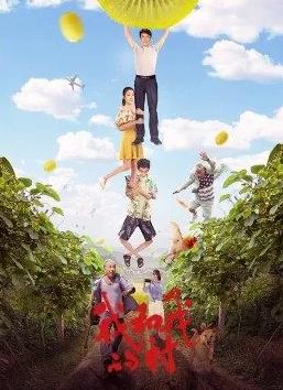 电影:我和我的村