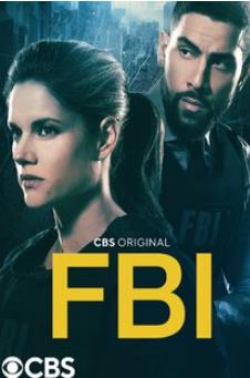 电影:联邦调查局第五季