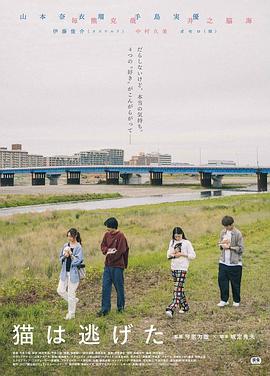 电影:猫猫逃走了