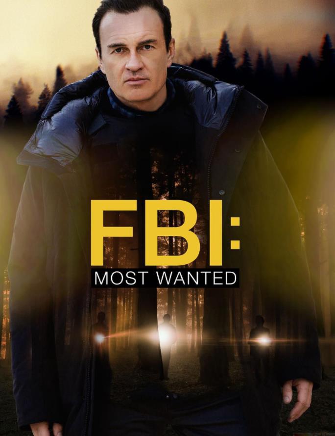 电影:联邦调查局:通缉要犯第四季