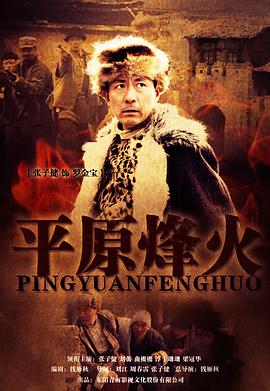 电影:平原烽火