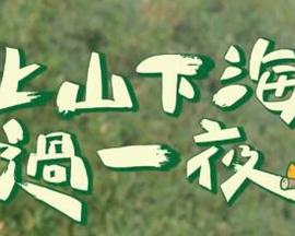 电影:上山下海过一夜