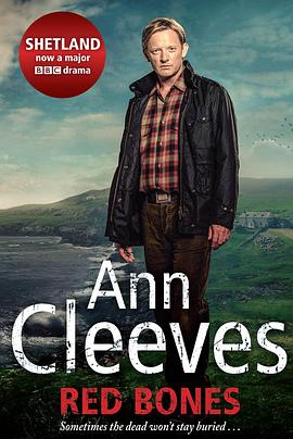 电影:设得兰谜案第一季