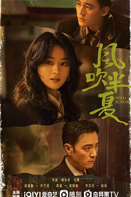 电影:风吹半夏