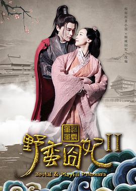 电影：野蛮囧妃2：迷雾重重