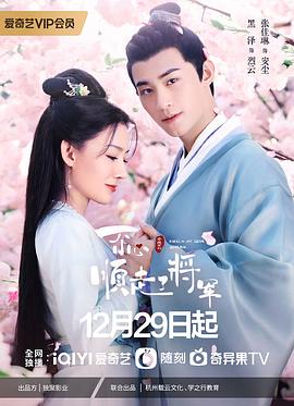 电影:一不小心顺走了将军