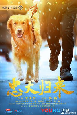 电影:忠犬归来