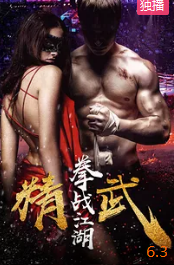 电影:精武之拳战江湖