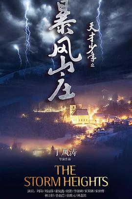 电影：天才少年之暴风山庄