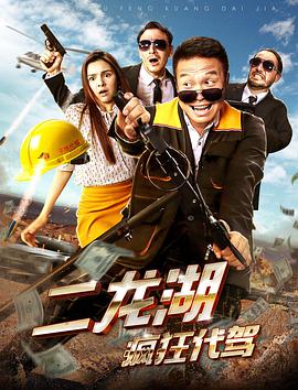 电影:二龙湖疯狂代驾