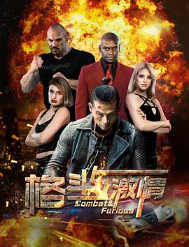 电影:格斗与激情