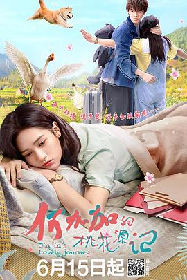 电影:何加加的桃花源记