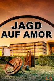 电影:寻找丘比特