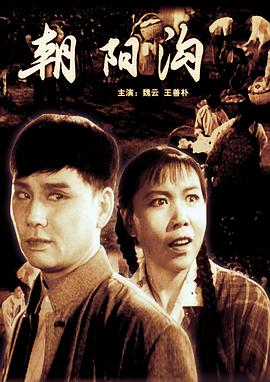 电影:朝阳沟