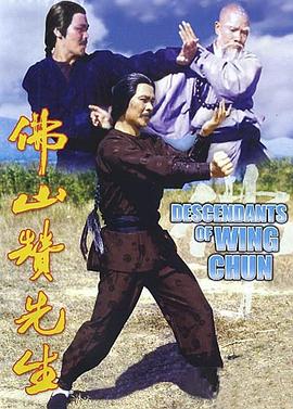 电影：佛山赞先生