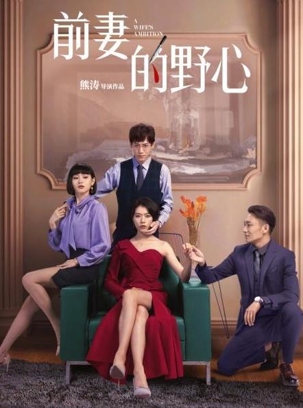 电影:前妻的野心