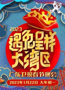 电影：2023广东春节联欢晚会