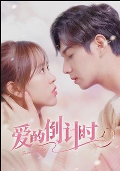 电影:爱的倒计时
