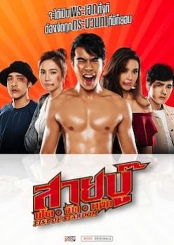 电影:打架出头天