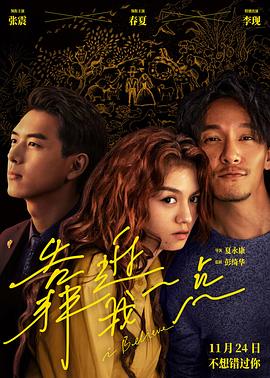 电影:靠近我一点