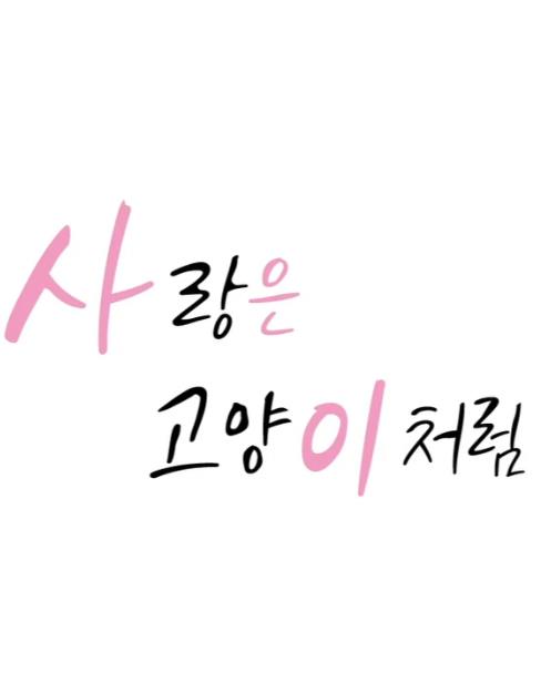 电影:爱像一只喵