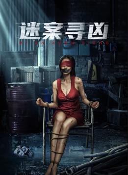 电影：迷案寻凶