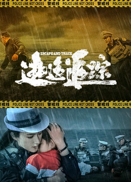 电影:逃逸追踪
