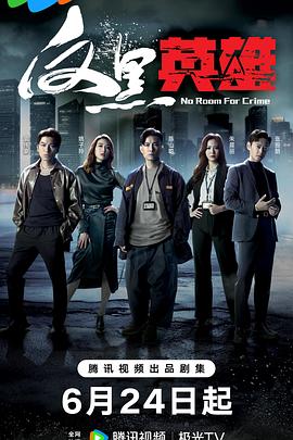 电影:反黑英雄粤语