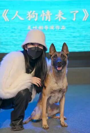 电影：人狗情未了1