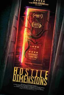 电影：敌对维度