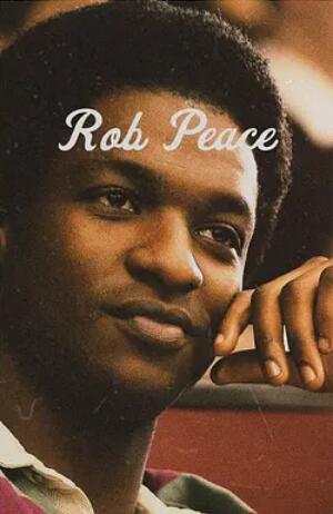 电影:被盗的和平