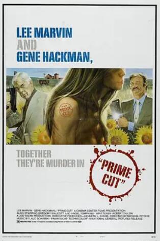 电影：双龙大火拼