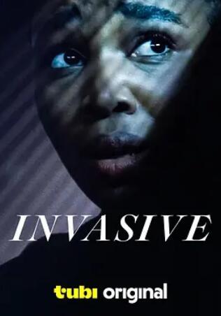 电影:入侵2024