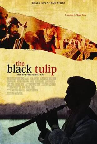 电影：黑色郁金香2010