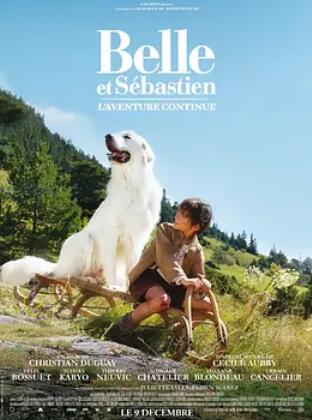 电影:灵犬雪莉:冒险再出发