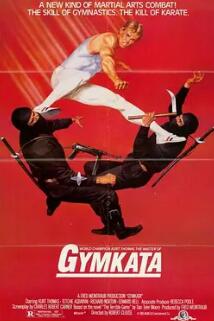 电影:忍者大扑杀